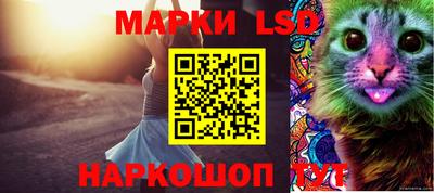 mdma Дмитров