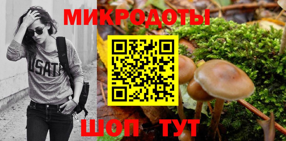 Псилоцибиновые грибы Cubensis  закладка  Алексин  Вход с VPN 