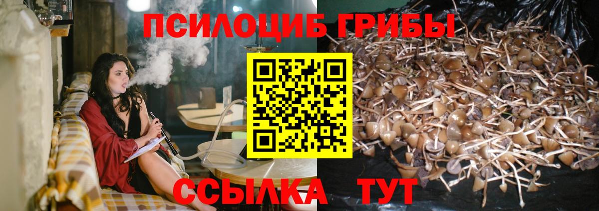 Псилоцибиновые грибы MAGIC MUSHROOMS Алексин